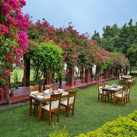 Hotel Naturoville Ayurvedic And Yoga Retreat Rishīkesh Exterior foto