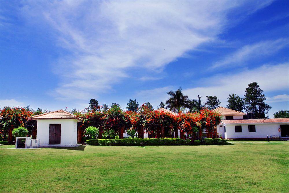 Hotel Naturoville Ayurvedic And Yoga Retreat Rishīkesh Exterior foto