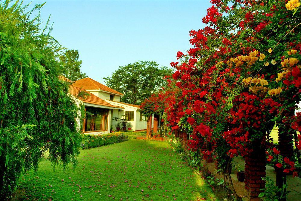 Hotel Naturoville Ayurvedic And Yoga Retreat Rishīkesh Exterior foto