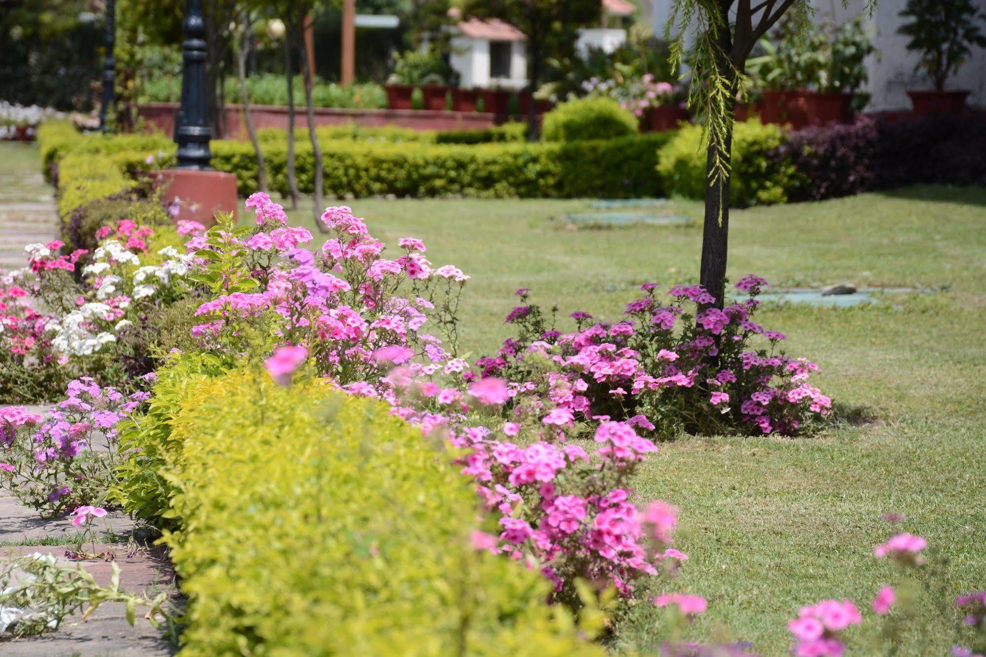Hotel Naturoville Ayurvedic And Yoga Retreat Rishīkesh Exterior foto