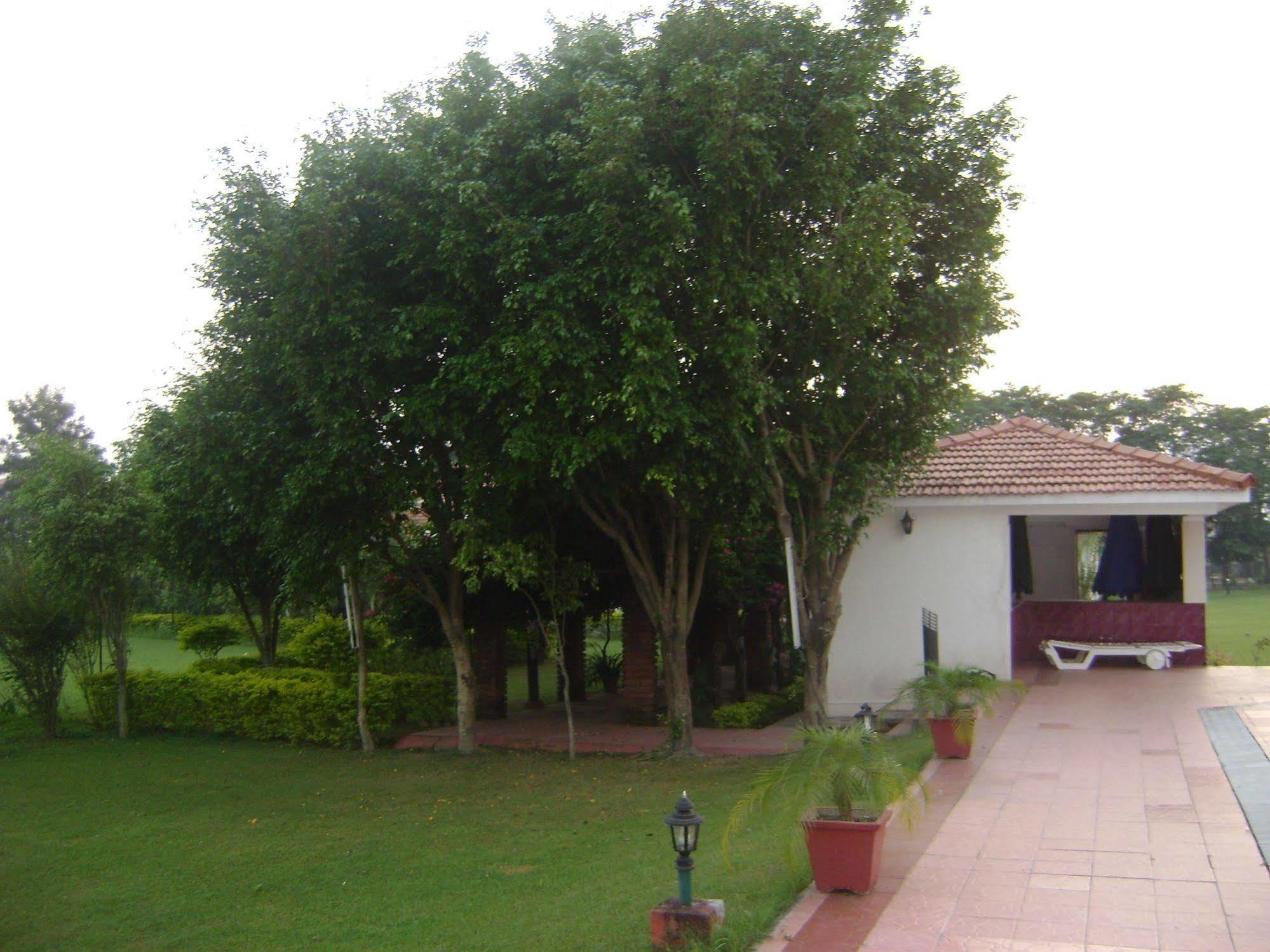 Hotel Naturoville Ayurvedic And Yoga Retreat Rishīkesh Exterior foto