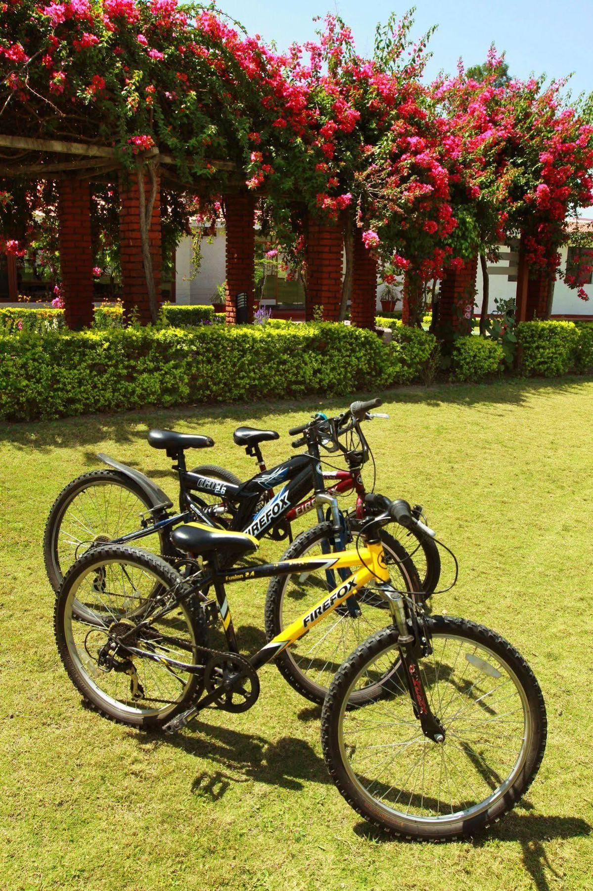 Hotel Naturoville Ayurvedic And Yoga Retreat Rishīkesh Exterior foto
