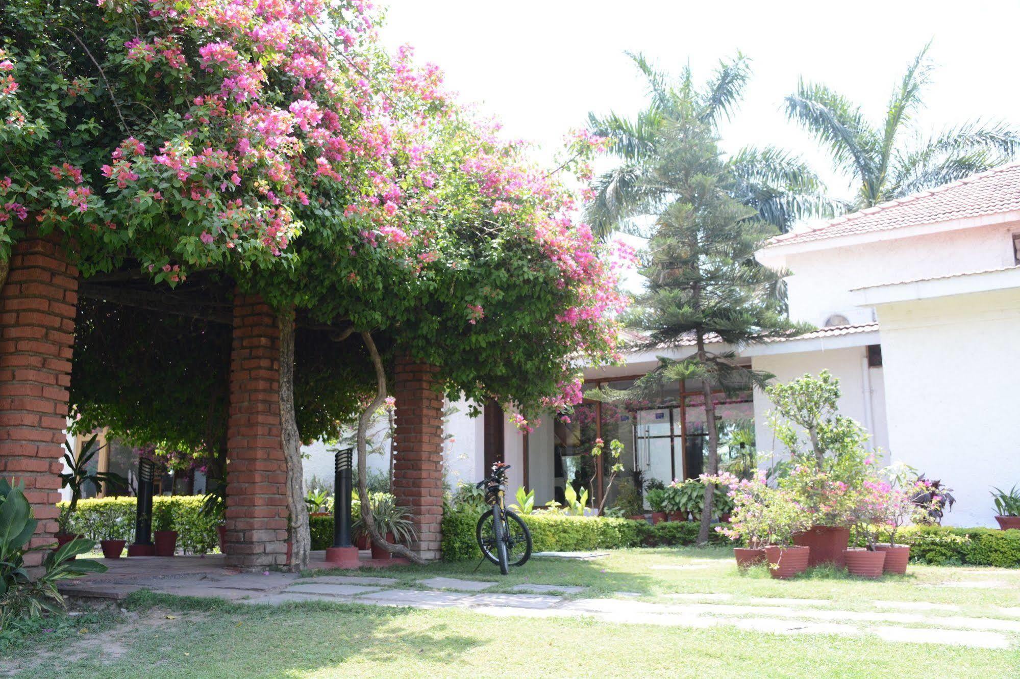 Hotel Naturoville Ayurvedic And Yoga Retreat Rishīkesh Exterior foto