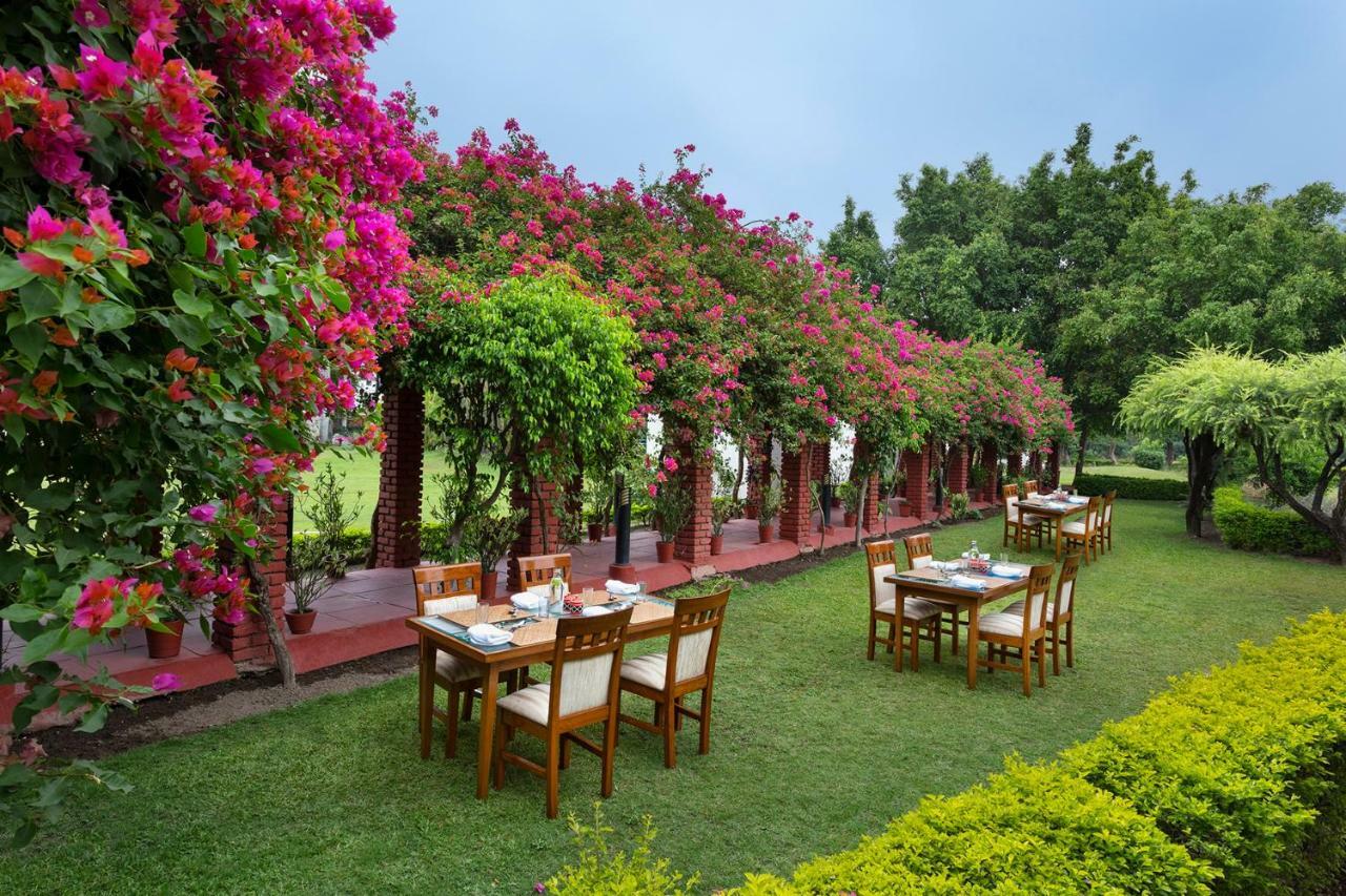 Hotel Naturoville Ayurvedic And Yoga Retreat Rishīkesh Exterior foto